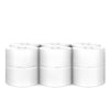 Toilet Paper Esenia Mini Jumbo Deink, 2 Ply, 100m x 12pcs