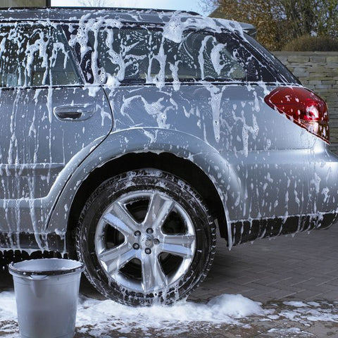 Prewash & Shampoos