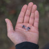 Noise Filtering Earplugs Set Oxford Filter Buds
