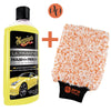 Kit de lavage de voiture Pro Detailing Gloss Master