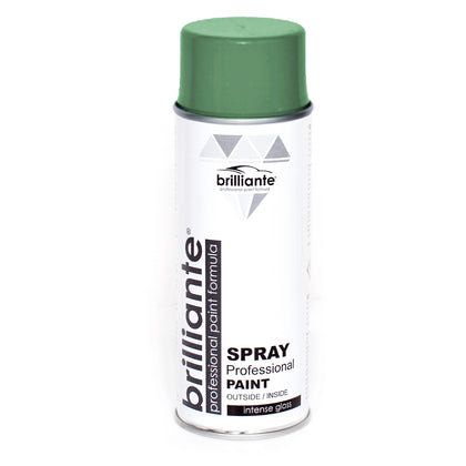 Professional Paint Spray Brilliante, Dark Green, 400ml