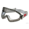 3M Safety Googles 2890